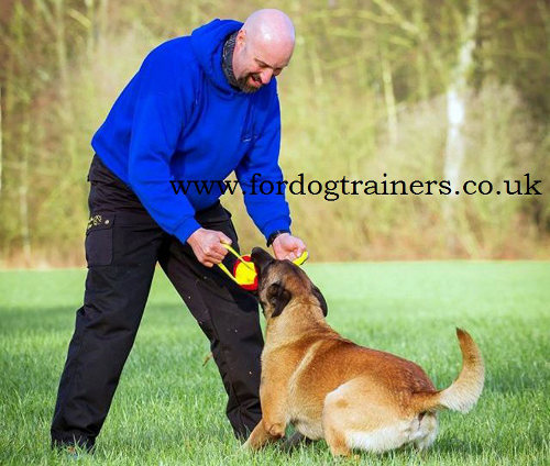 soft dog toys for aggressive chewers